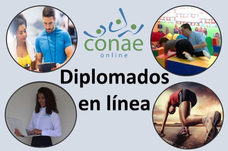 Diplomados en línea