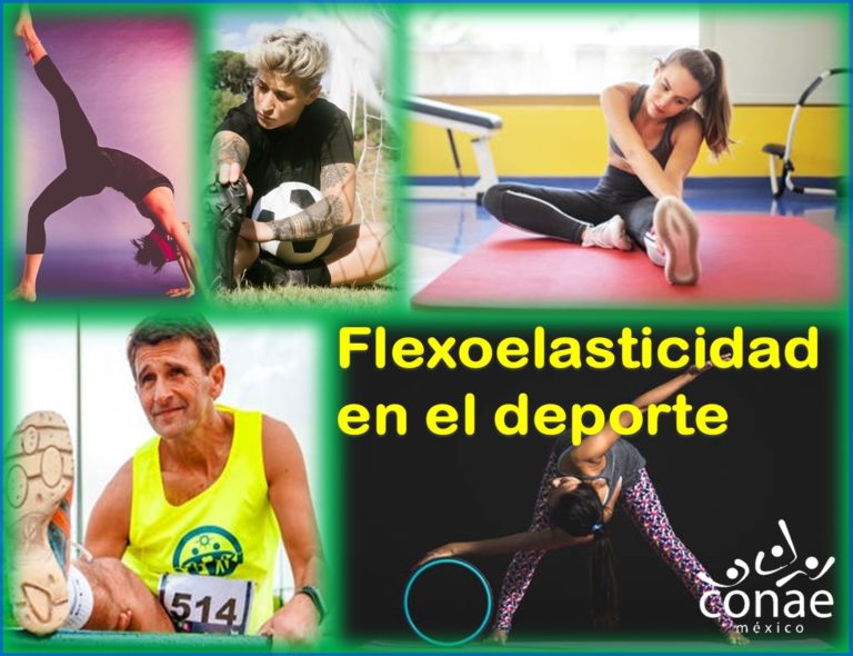 Taller en línea: La Flexoelasticidad en el Deporte