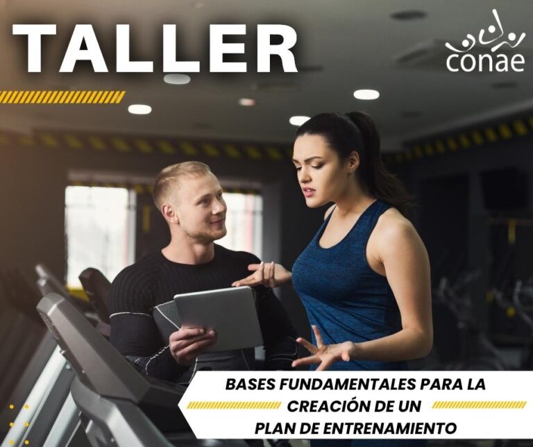 Bases Fundamentales para la Creación de un plan de Entrenamiento